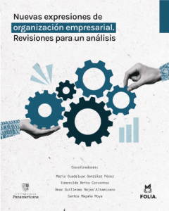 Nuevas expresiones de organización empresarial. Revisiones para un análisis