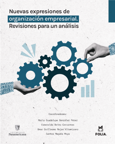 Nuevas expresiones de organización empresarial. Revisiones para un análisis